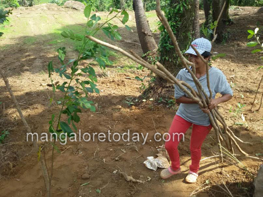 greening Mangaluru 6
